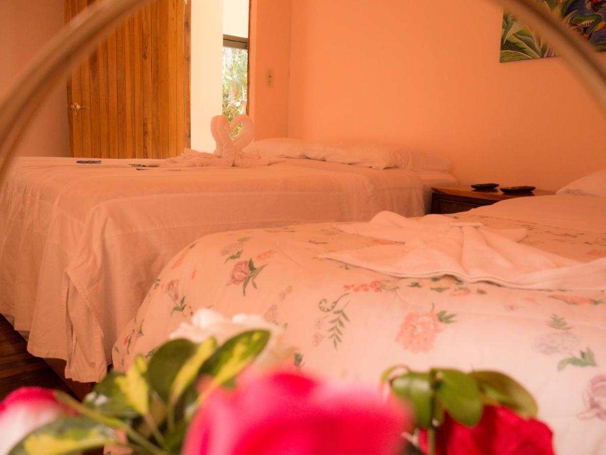 Monte Los Lirios Lodge Monteverde 외부 사진